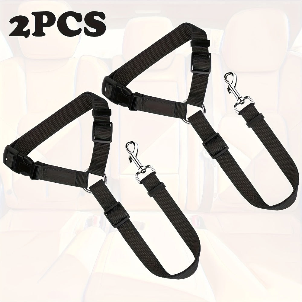 The Two - Piece Dog Leash Set
