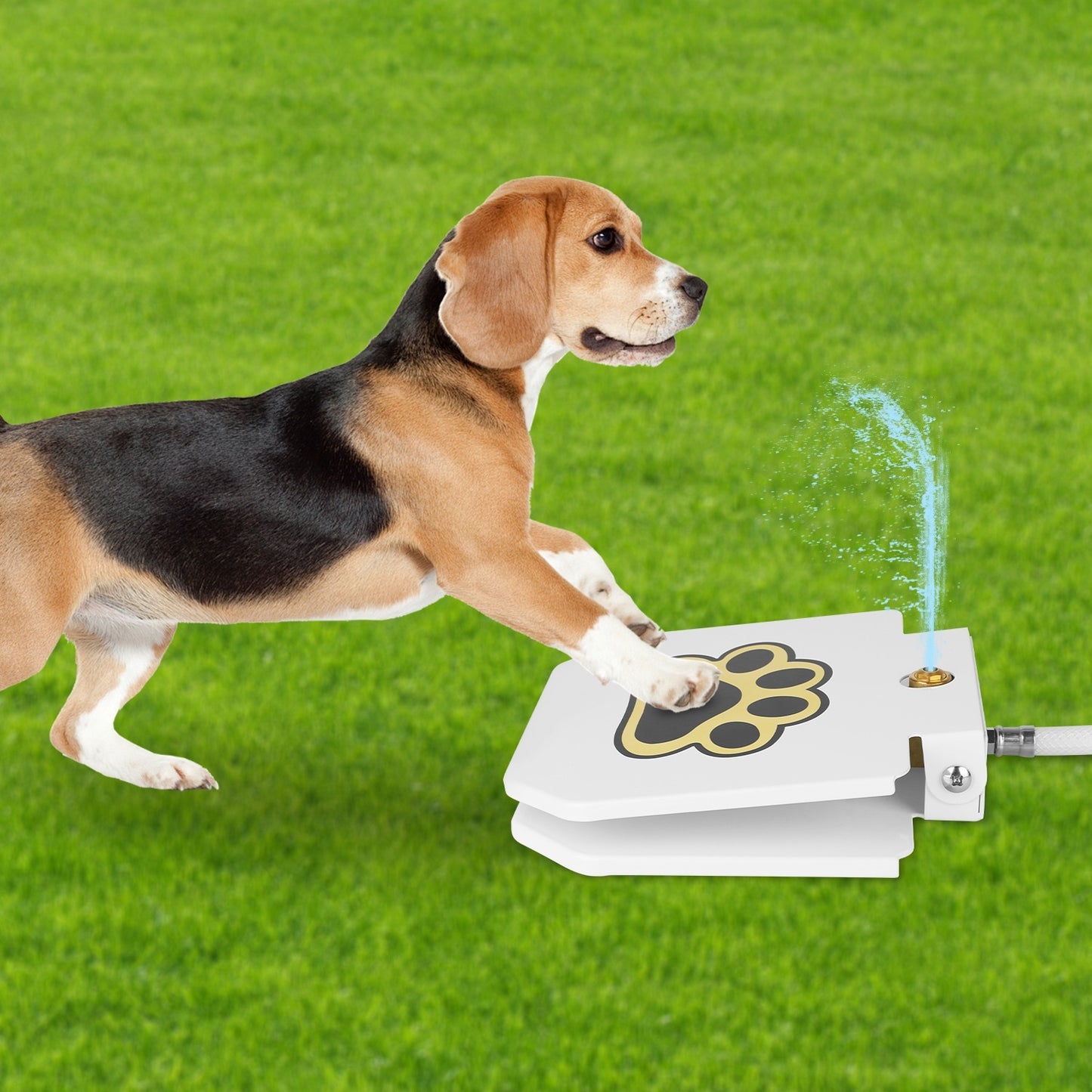 Water Fountain Outdoor Dog Pet Water Dispenser