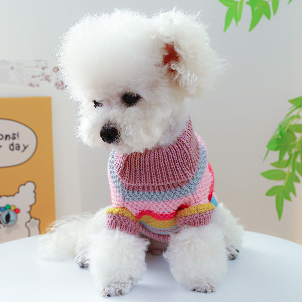 Pet Ring Comfortable Sweater
