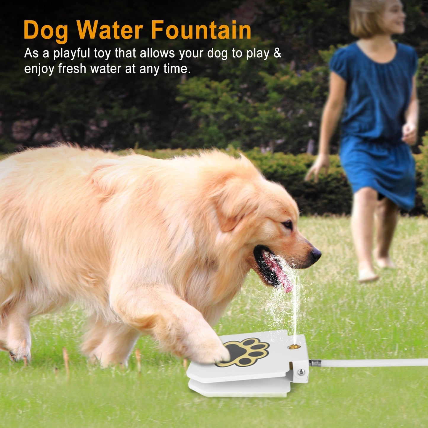 Water Fountain Outdoor Dog Pet Water Dispenser