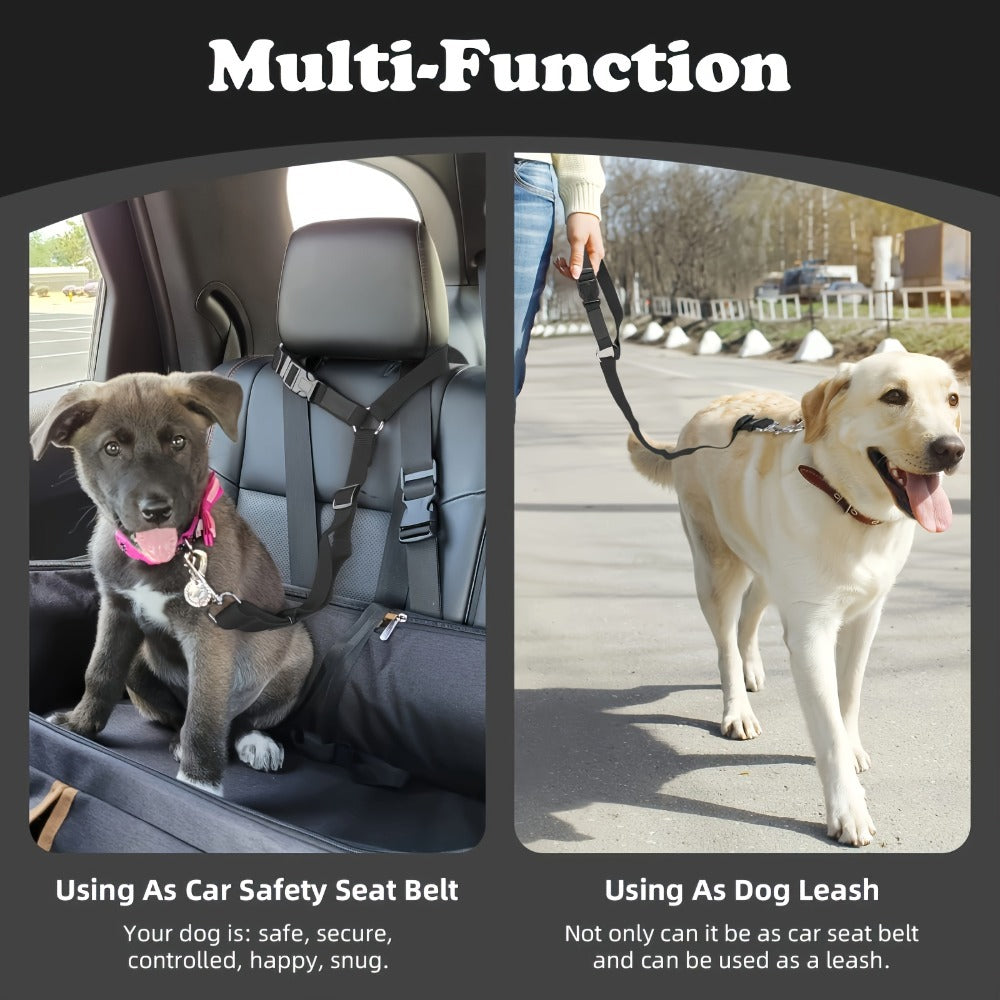 The Two - Piece Dog Leash Set