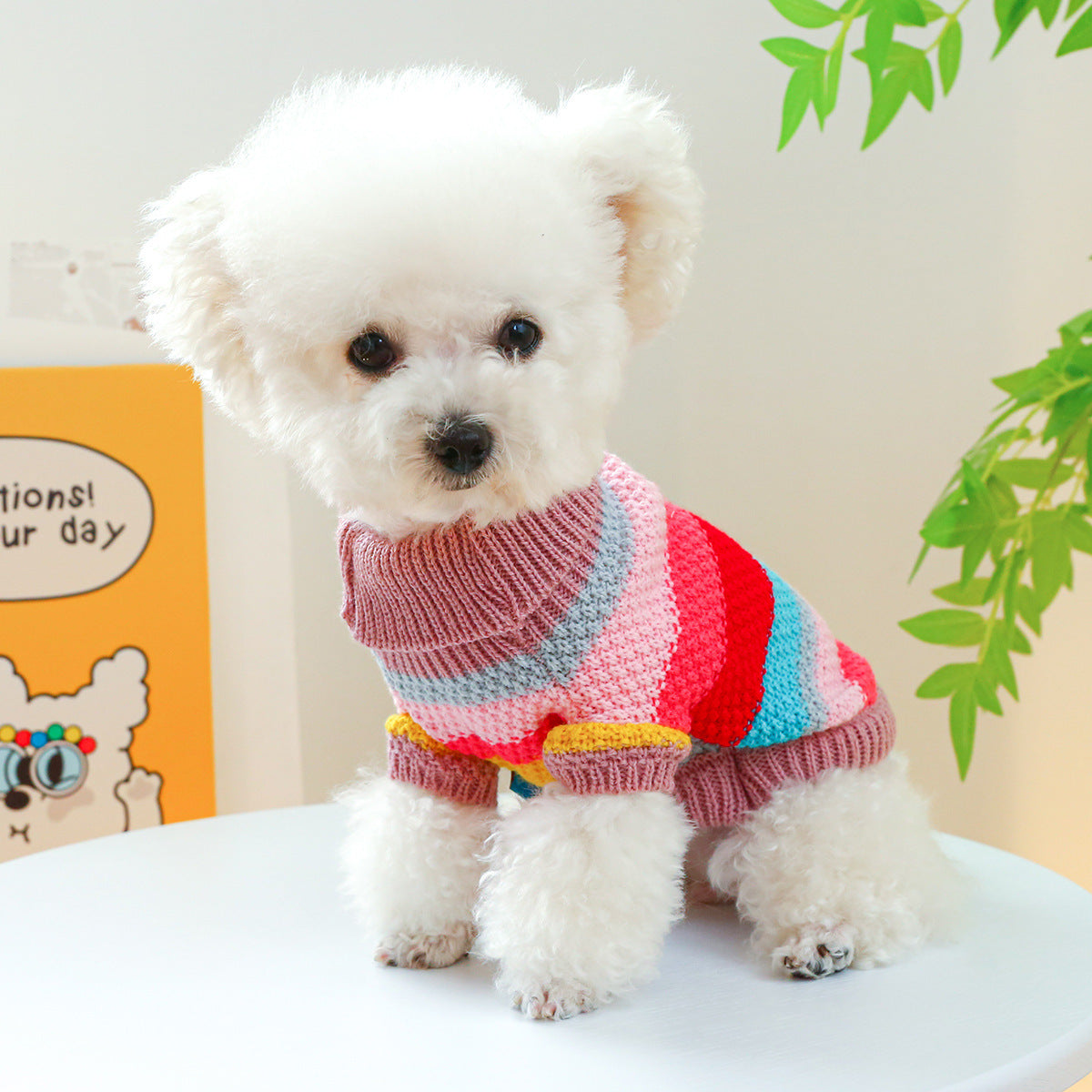 Pet Ring Comfortable Sweater