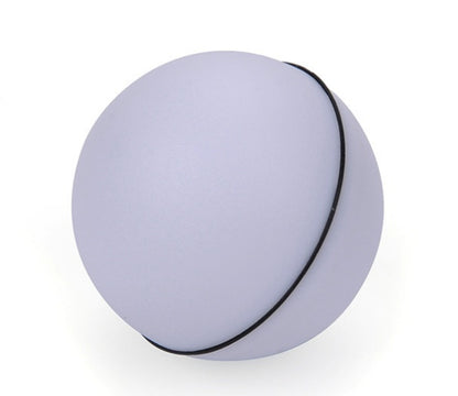 Electronic Rolling Pet Funny Cat Toy Ball