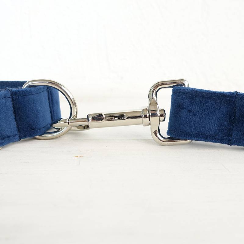 Pet traction collar dog chain