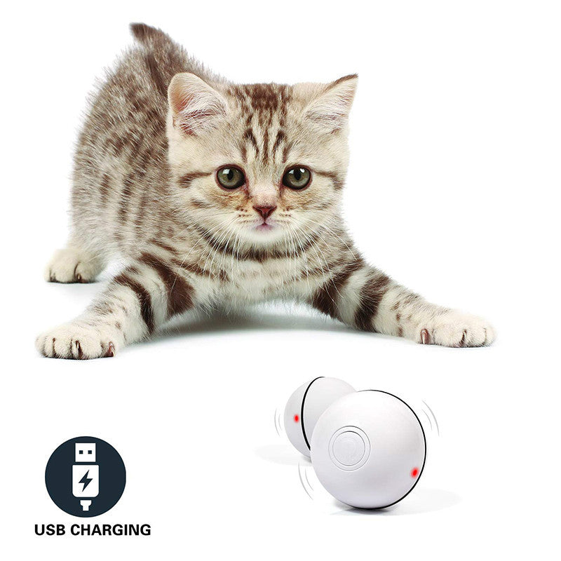 Electronic Rolling Pet Funny Cat Toy Ball