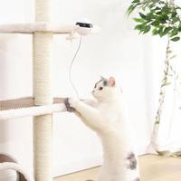 Interactive  Electronic Motion Cat Toy