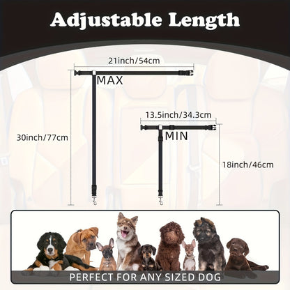 The Two - Piece Dog Leash Set
