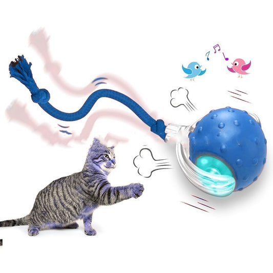 Super Drive Cat Rolling Ball