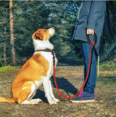 Reflective  Nylon Pet Dog Leash