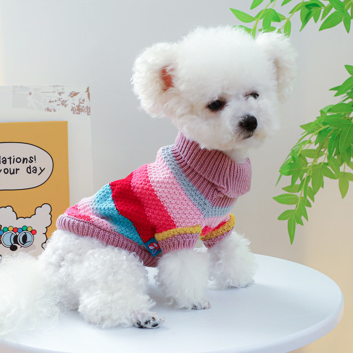 Pet Ring Comfortable  Sweater