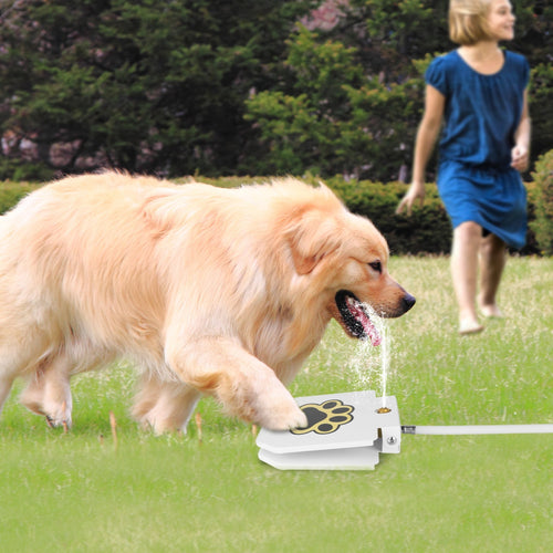 Water Fountain Outdoor Dog Pet Water Dispenser