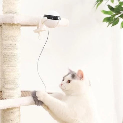 Interactive  Electronic Motion Cat Toy