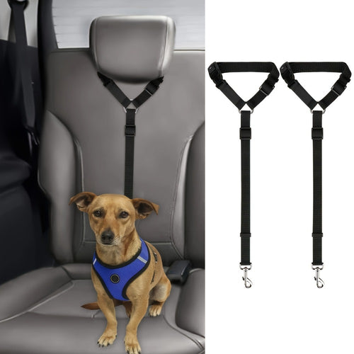 The Two - Piece Dog Leash Set