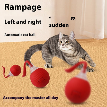 Super Drive Cat Rolling Ball