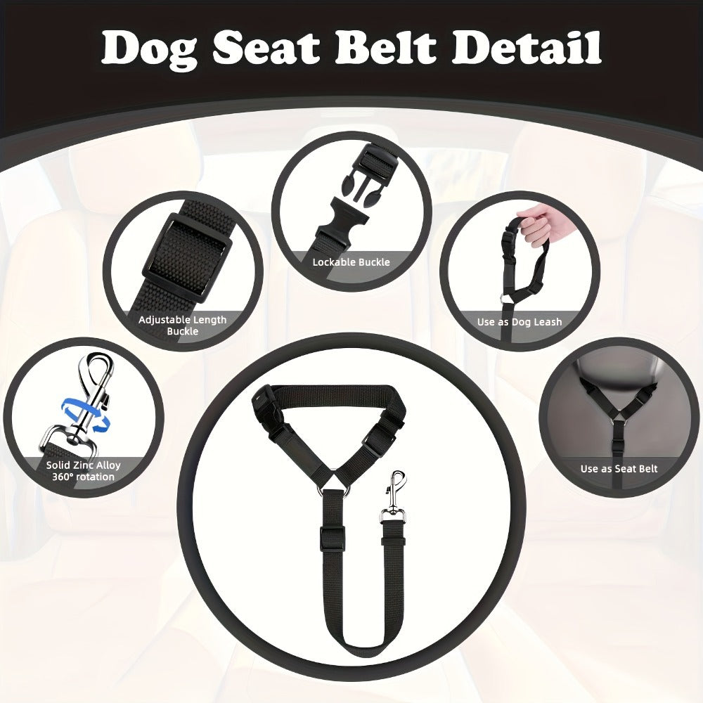 The Two - Piece Dog Leash Set