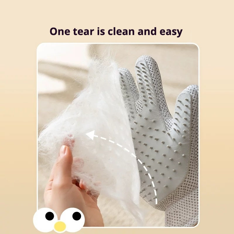 Cat Hair Removal Tools