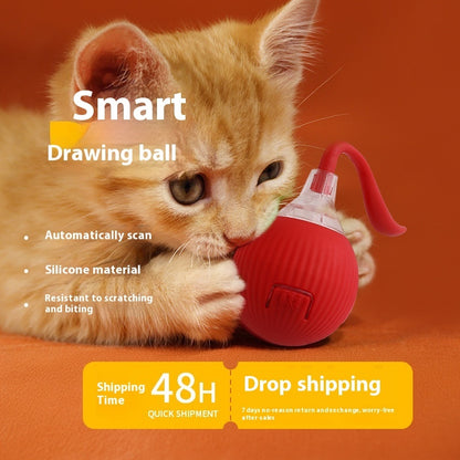 Super Drive Cat Rolling Ball