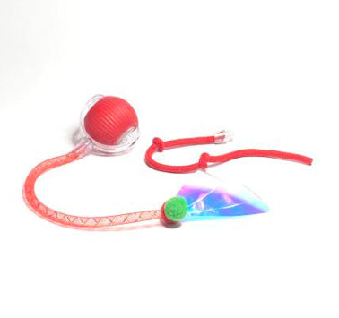 Super Drive Cat Rolling Ball
