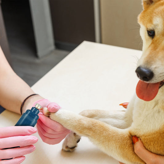USB Rechargeable Pet Nail Grinder